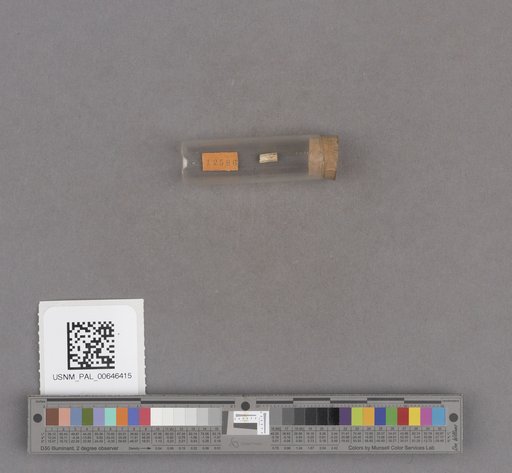 NSF ADBC EPICC TCN