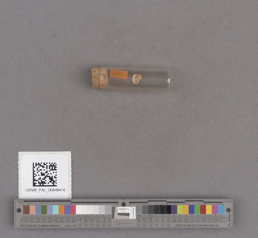 NSF ADBC EPICC TCN