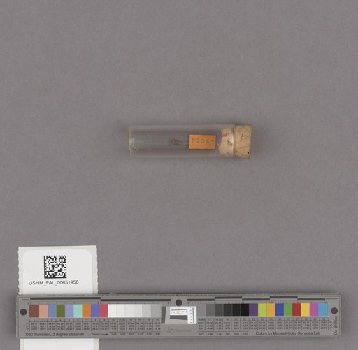 NSF ADBC EPICC TCN