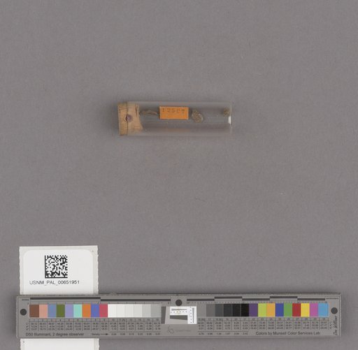NSF ADBC EPICC TCN