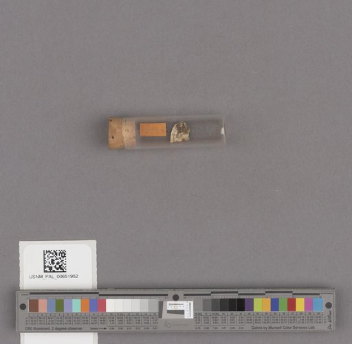 NSF ADBC EPICC TCN