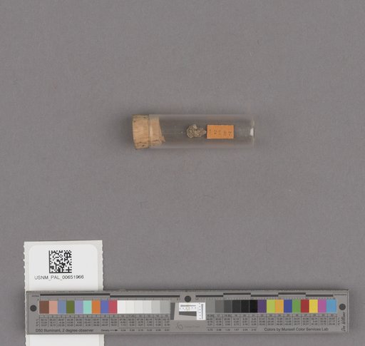 NSF ADBC EPICC TCN