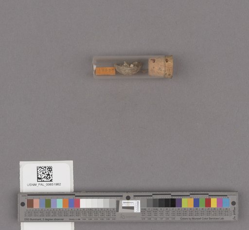 NSF ADBC EPICC TCN