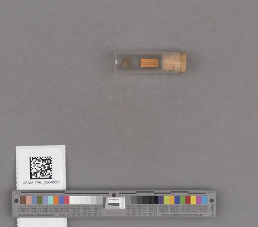 NSF ADBC EPICC TCN
