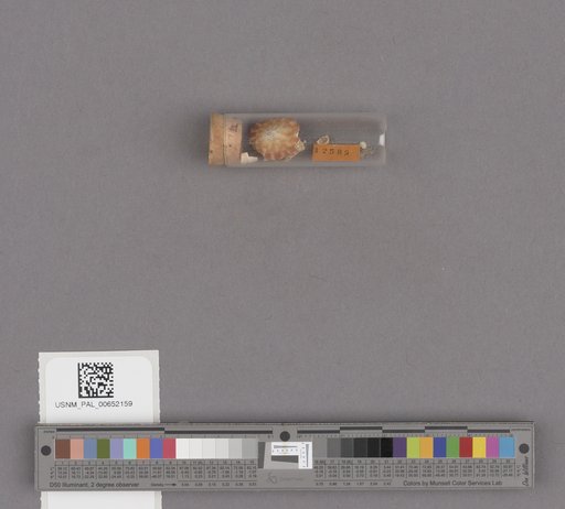 NSF ADBC EPICC TCN