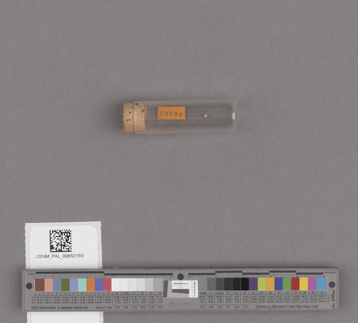 NSF ADBC EPICC TCN