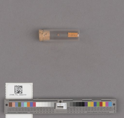 NSF ADBC EPICC TCN