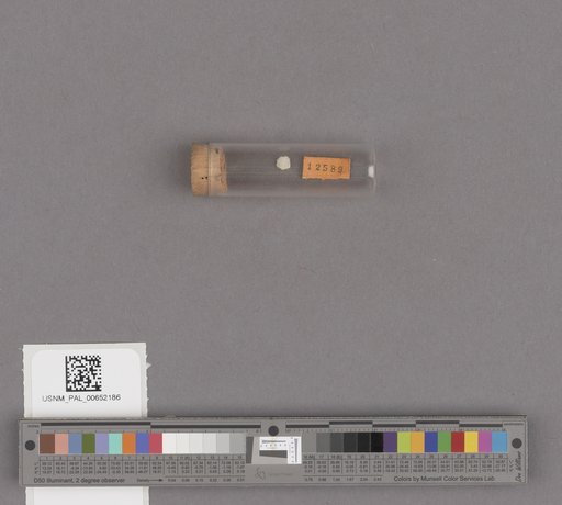 NSF ADBC EPICC TCN