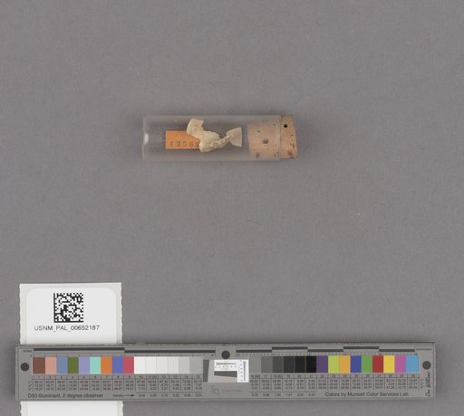 NSF ADBC EPICC TCN