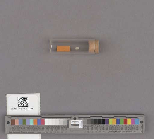 NSF ADBC EPICC TCN