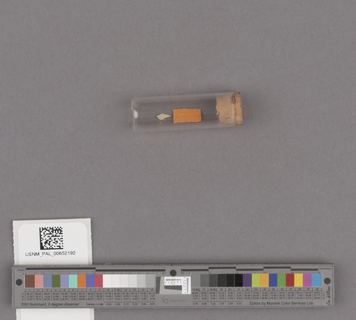NSF ADBC EPICC TCN