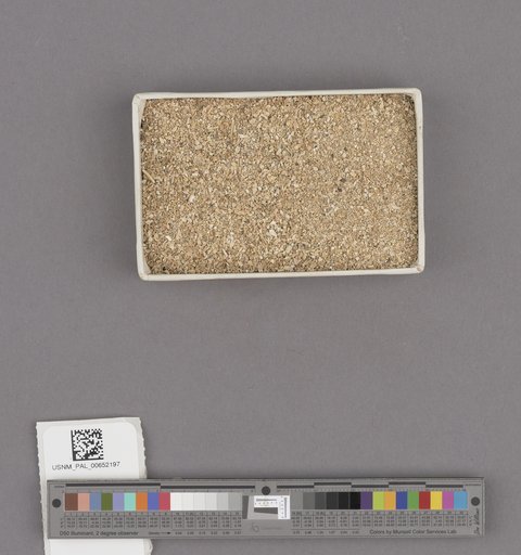 NSF ADBC EPICC TCN