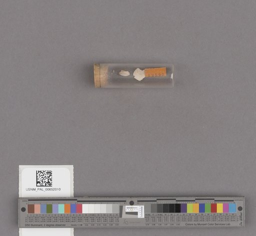 NSF ADBC EPICC TCN