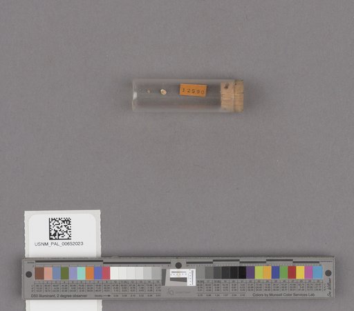 NSF ADBC EPICC TCN
