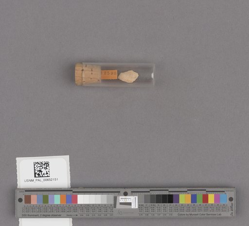 NSF ADBC EPICC TCN