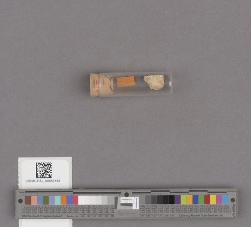 NSF ADBC EPICC TCN