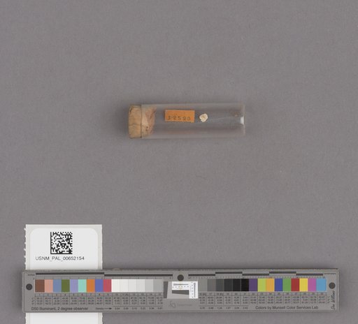 NSF ADBC EPICC TCN