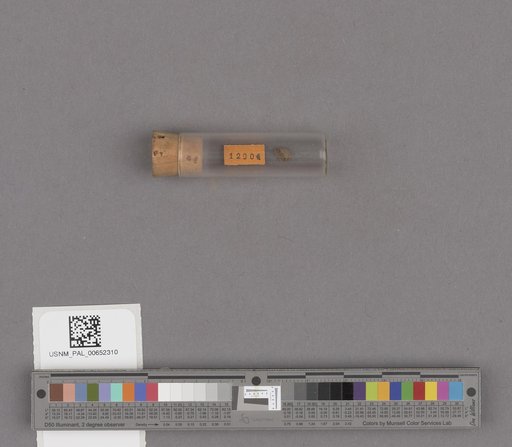 NSF ADBC EPICC TCN