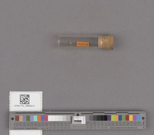 NSF ADBC EPICC TCN