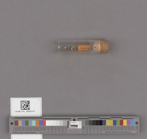 NSF ADBC EPICC TCN