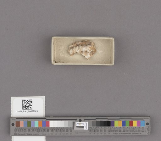 NSF ADBC EPICC TCN