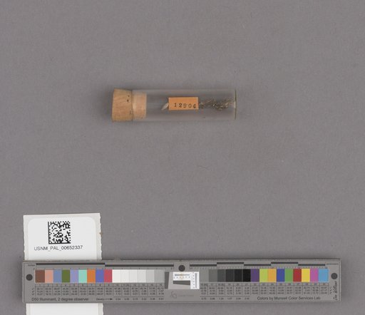 NSF ADBC EPICC TCN