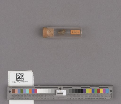 NSF ADBC EPICC TCN