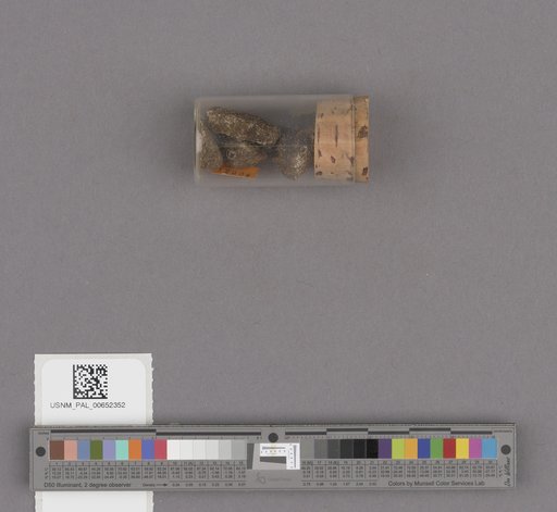 NSF ADBC EPICC TCN