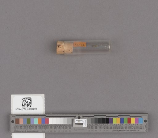 NSF ADBC EPICC TCN