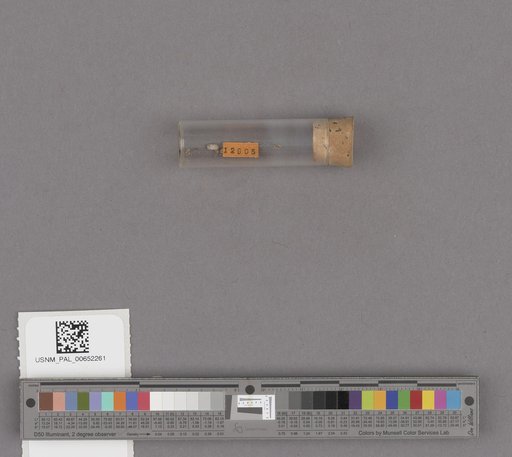 NSF ADBC EPICC TCN
