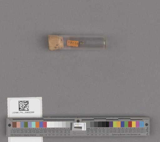 NSF ADBC EPICC TCN