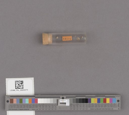 NSF ADBC EPICC TCN