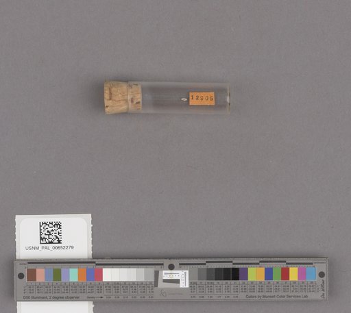 NSF ADBC EPICC TCN