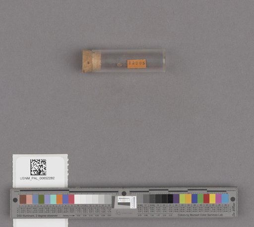 NSF ADBC EPICC TCN