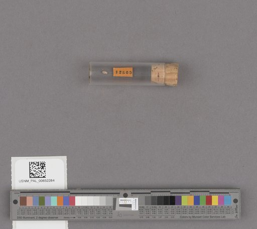NSF ADBC EPICC TCN