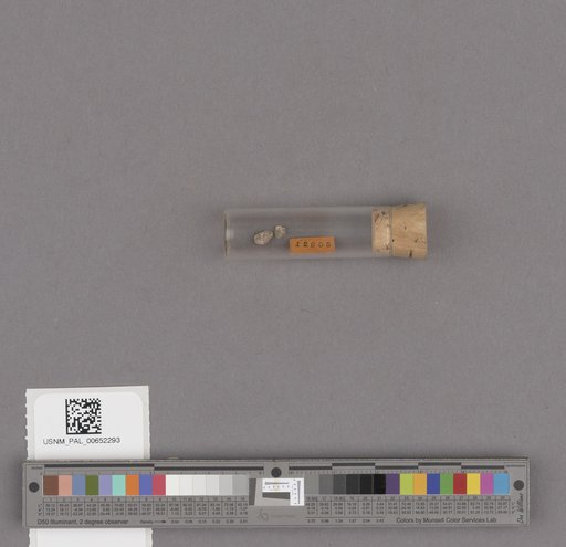 NSF ADBC EPICC TCN