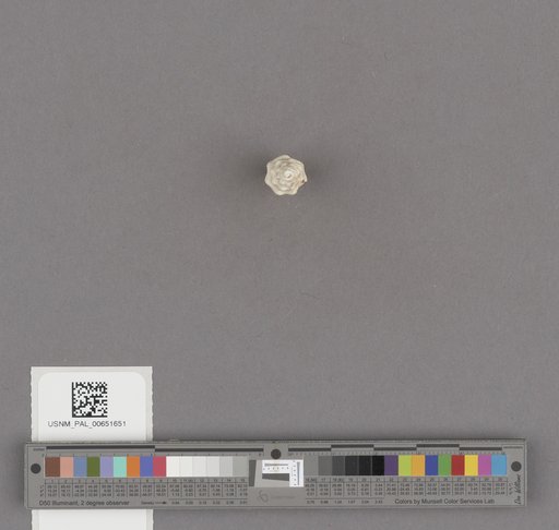 NSF ADBC EPICC TCN