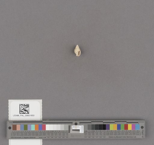 NSF ADBC EPICC TCN