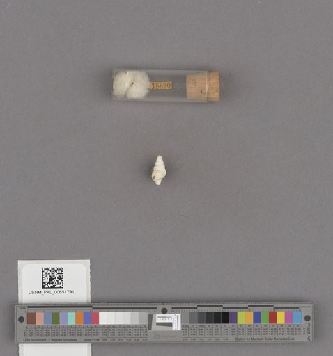 NSF ADBC EPICC TCN