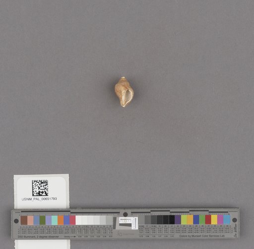 NSF ADBC EPICC TCN