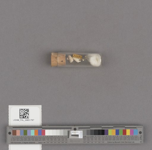 NSF ADBC EPICC TCN