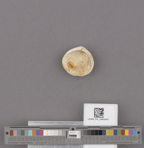 NSF ADBC EPICC TCN