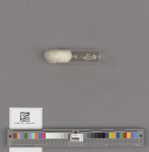 NSF ADBC EPICC TCN