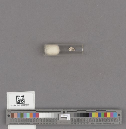 NSF ADBC EPICC TCN