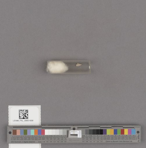 NSF ADBC EPICC TCN