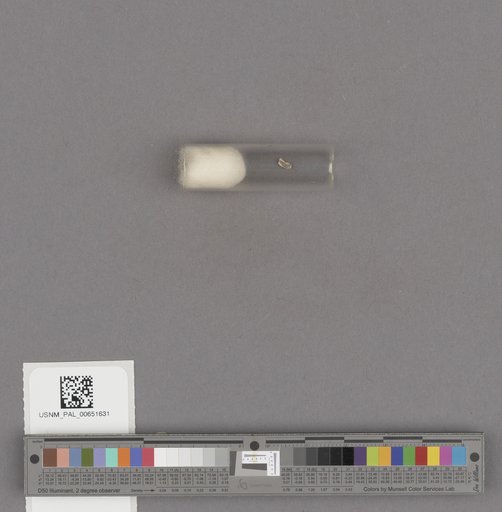 NSF ADBC EPICC TCN