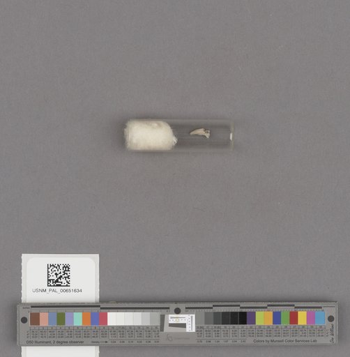 NSF ADBC EPICC TCN
