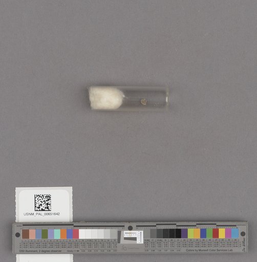 NSF ADBC EPICC TCN