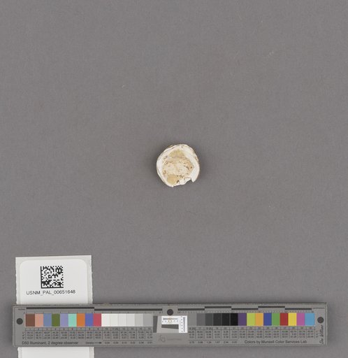 NSF ADBC EPICC TCN