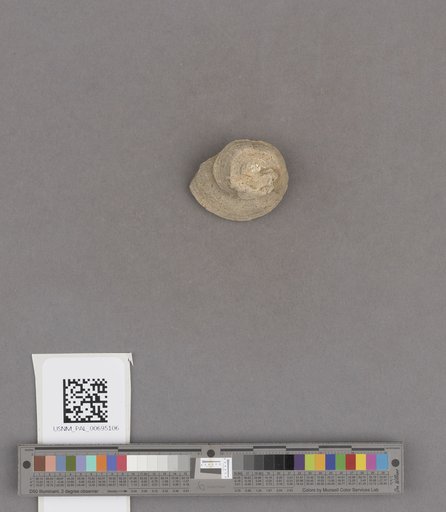 NSF ADBC EPICC TCN